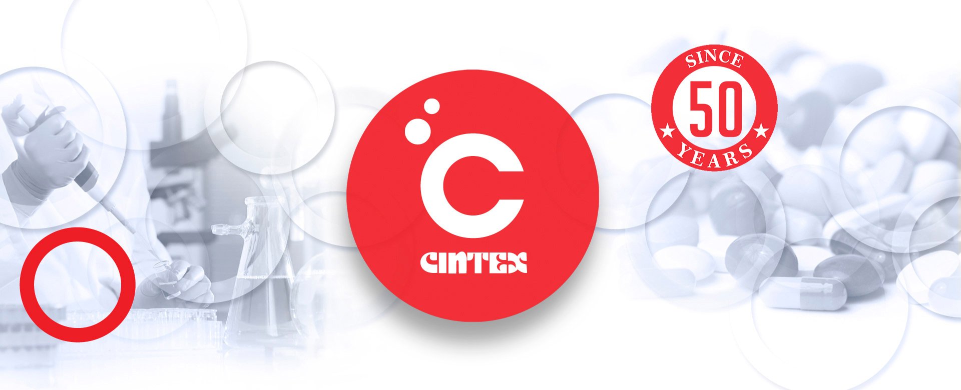 cintex